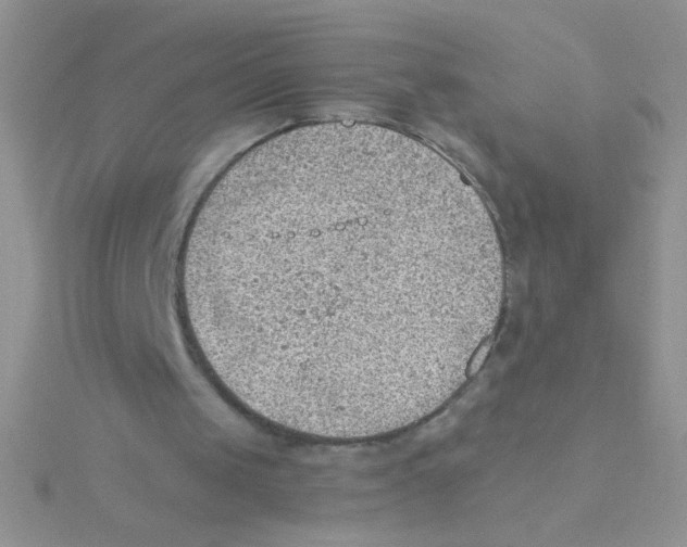 X0000115030049200911231120