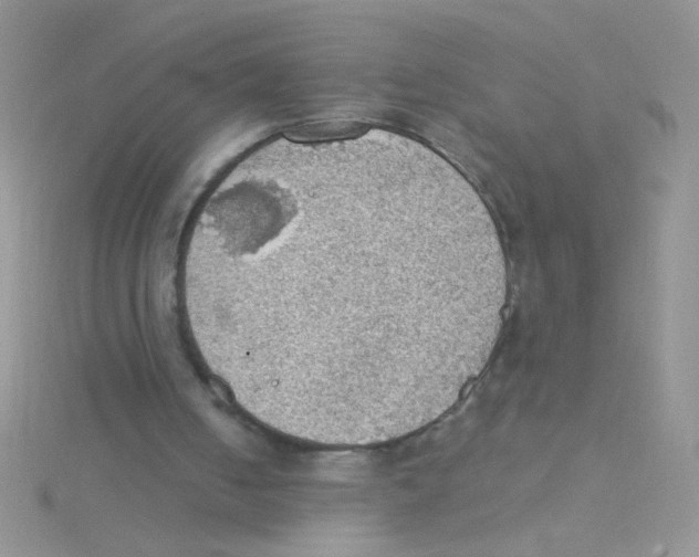 X0000115030050200911231120