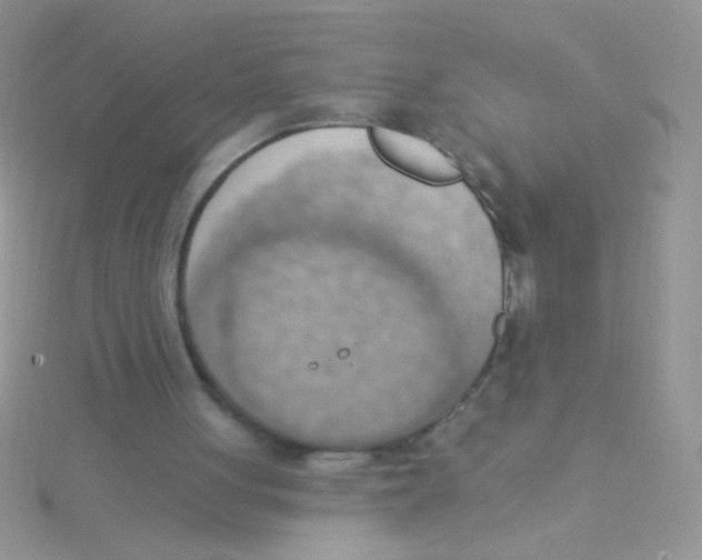 X0000115030051200911231120