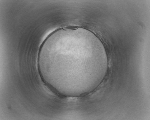 X0000115030052200911231120