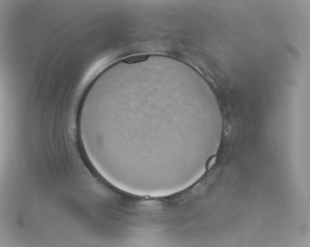 X0000115030053200911231120