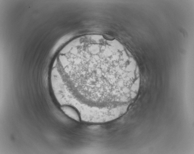 X0000115030054200911231120