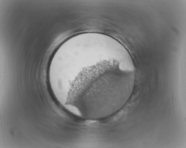 X0000115030055200911231120