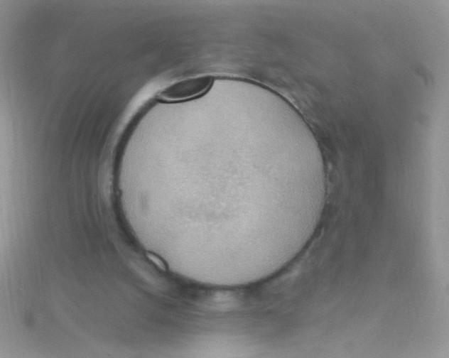 X0000115030056200911231120