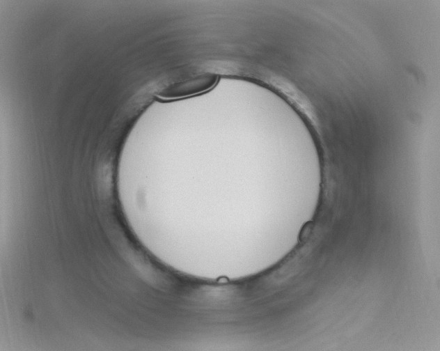 X0000115030057200911231121