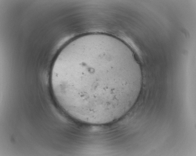 X0000115030060200911231121