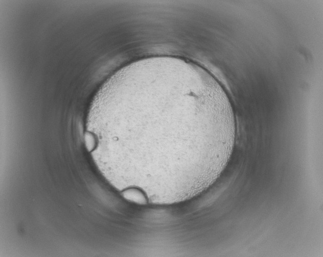 X0000115030061200911231121