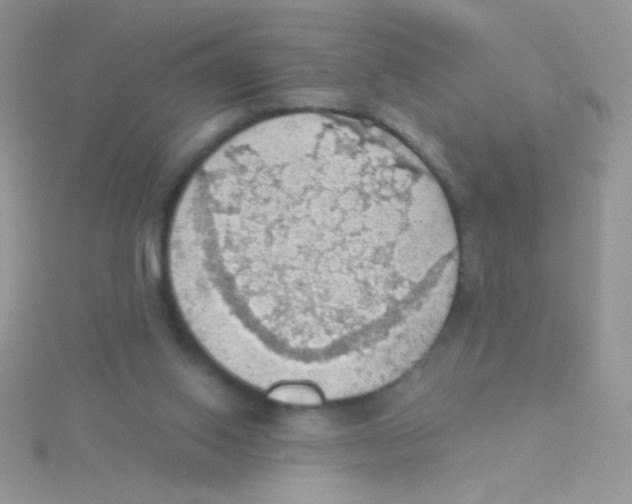 X0000115030062200911231121