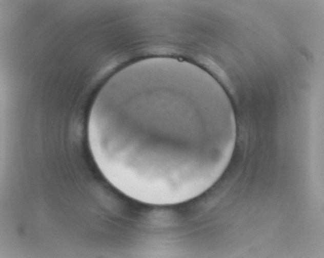 X0000115030063200911231121