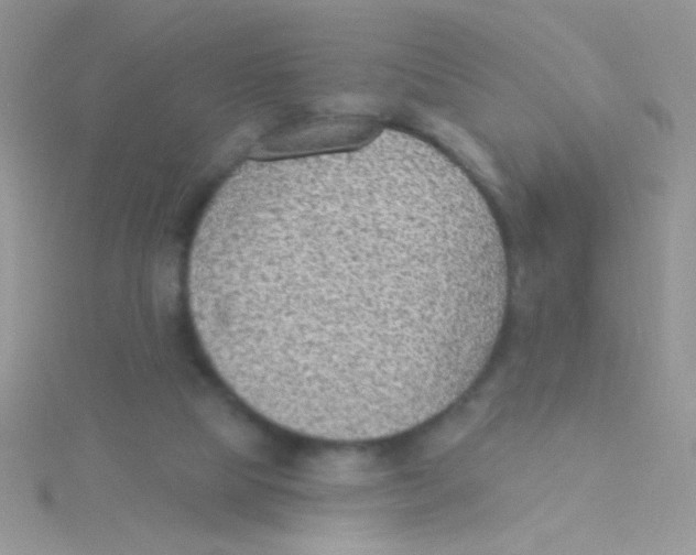 X0000115030065200911231121