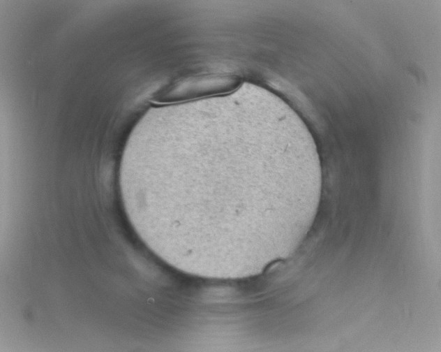 X0000115030066200911231121