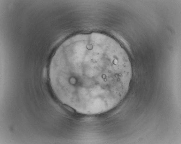 X0000115030067200911231121