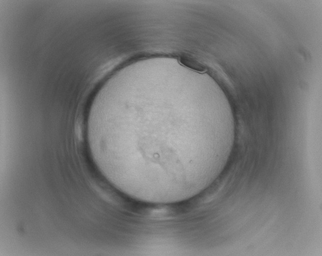 X0000115030068200911231121