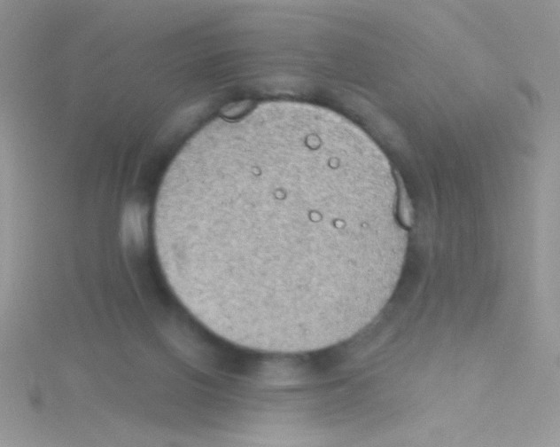 X0000115030070200911231121