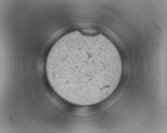 X0000115030072200911231121