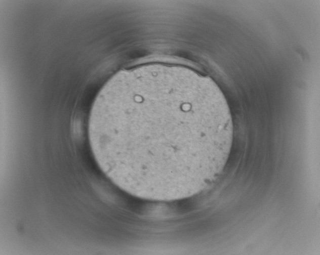 X0000115030074200911231121