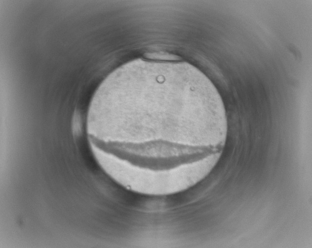 X0000115030075200911231121