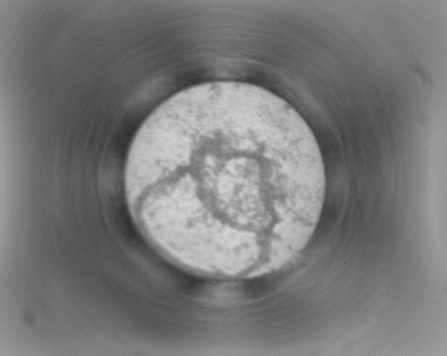 X0000115030078200911231121