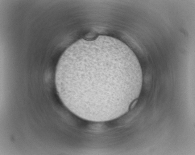 X0000115030079200911231121