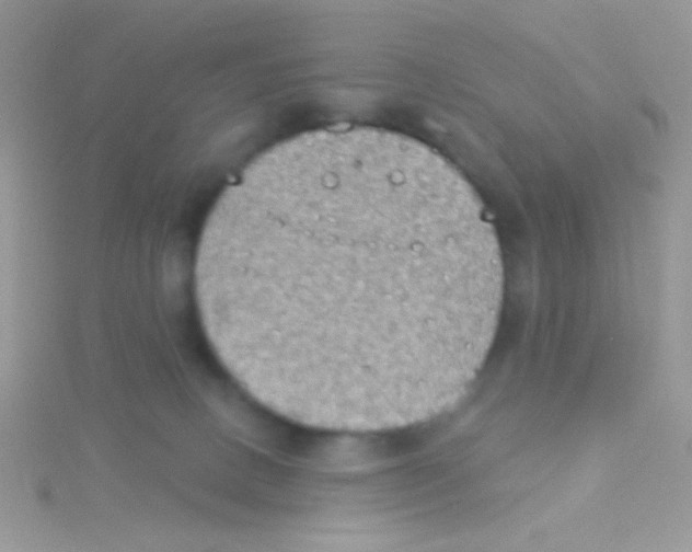 X0000115030082200911231121