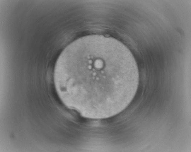 X0000115030083200911231121