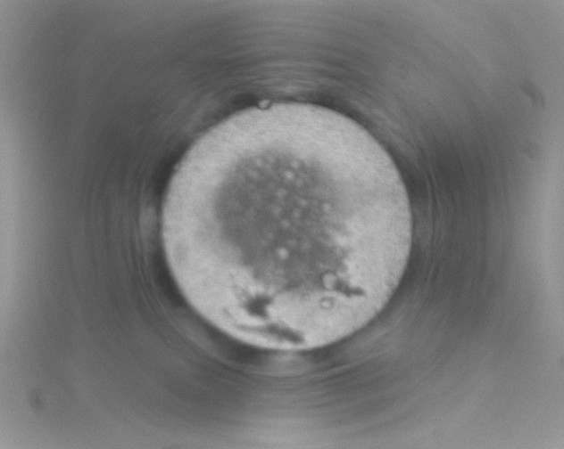 X0000115030087200911231121