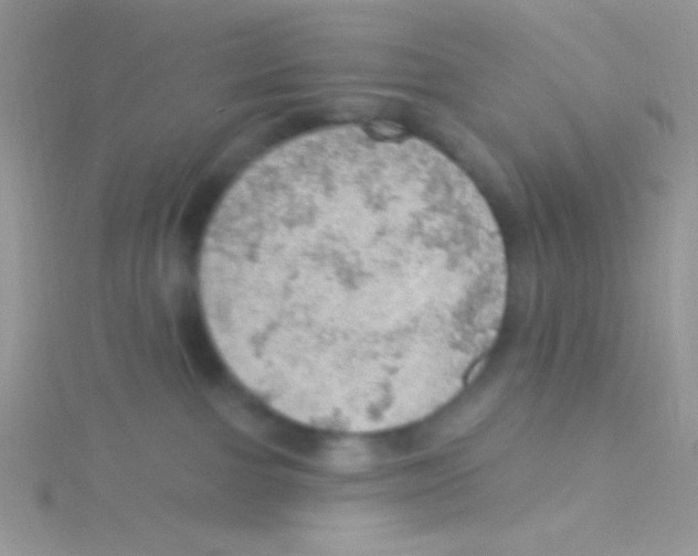 X0000115030091200911231121