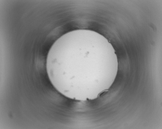 X0000115030092200911231121