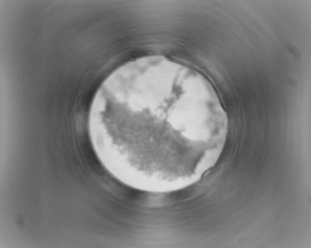 X0000115030093200911231121