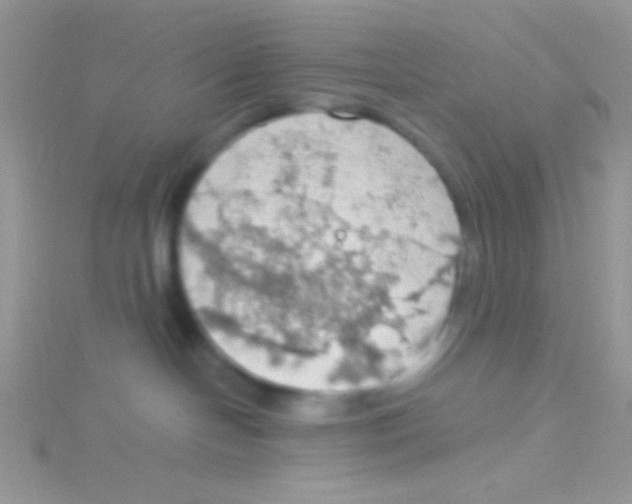 X0000115030094200911231121