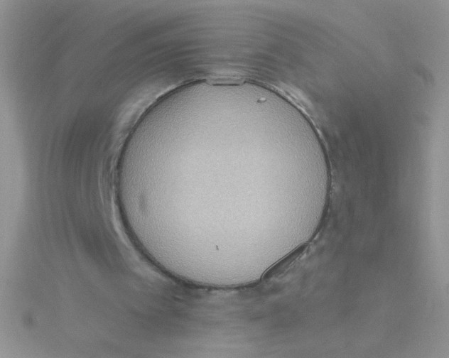 X0000115030097200911231120