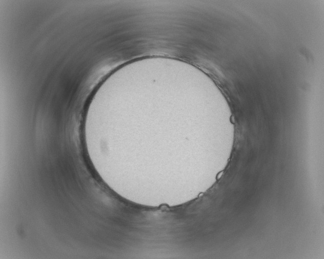 X0000115030098200911231120