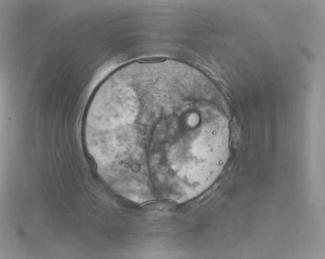 X0000115030099200911231120