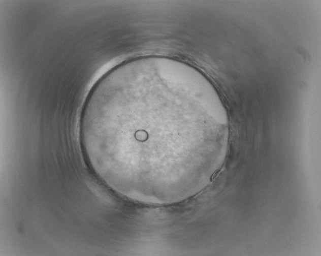 X0000115030100200911231120