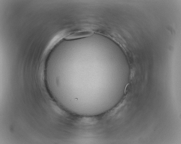 X0000115030101200911231120