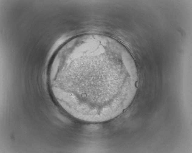 X0000115030102200911231120