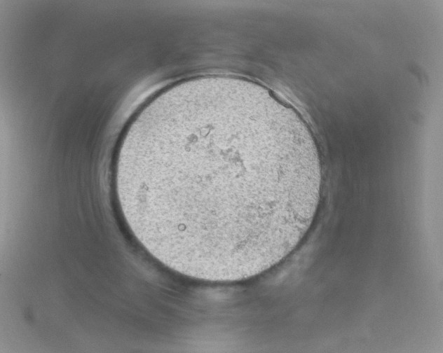 X0000115030103200911231120