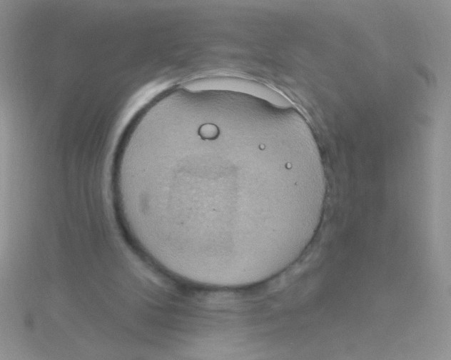 X0000115030104200911231120