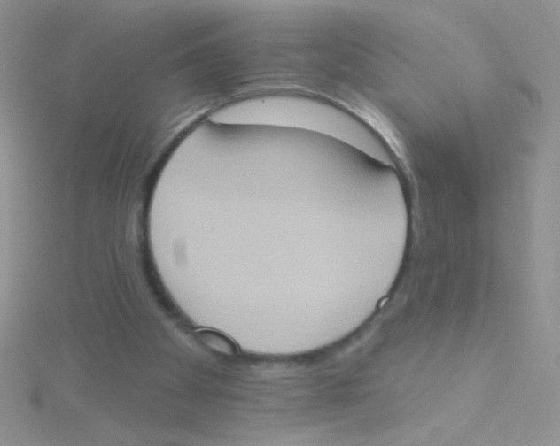 X0000115030105200911231120