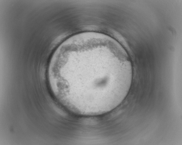 X0000115030106200911231120