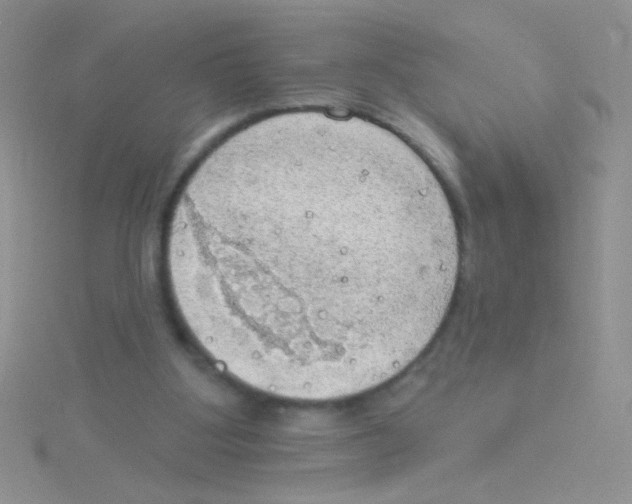 X0000115030107200911231120