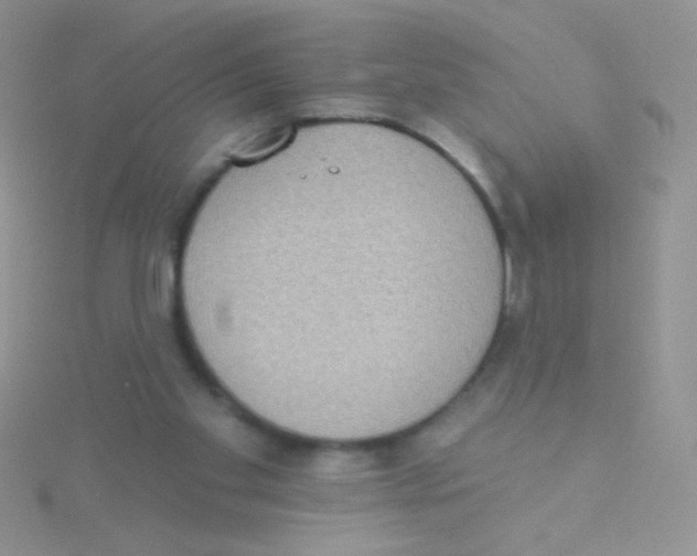 X0000115030109200911231120