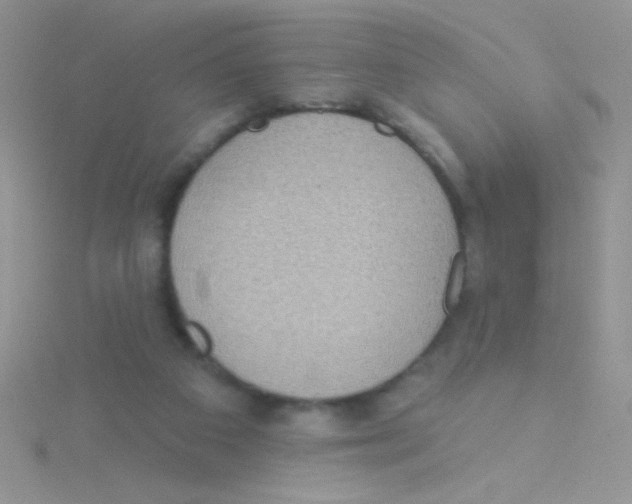 X0000115030113200911231120