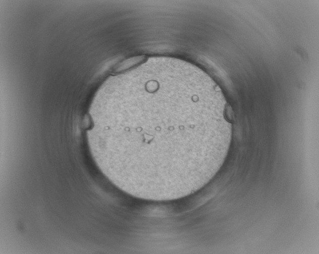 X0000115030115200911231120