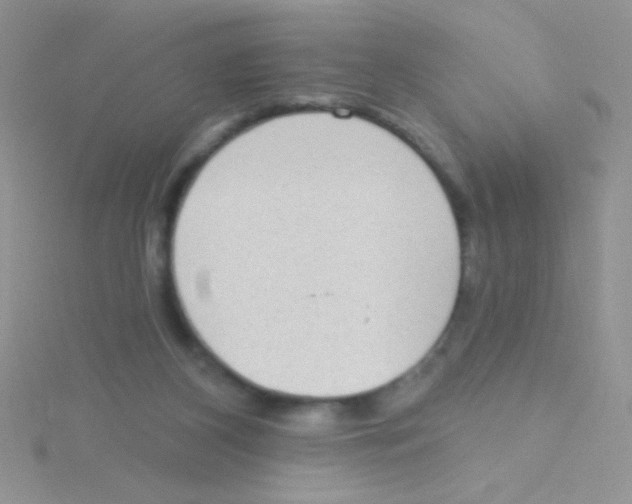 X0000115030116200911231120