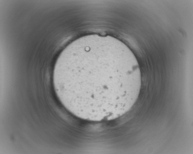 X0000115030120200911231120