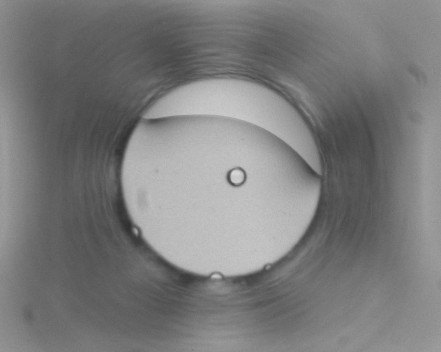 X0000115030121200911231120