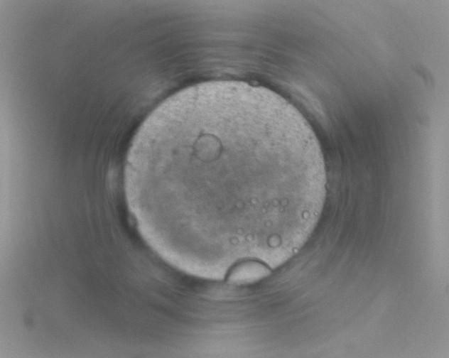 X0000115030123200911231120