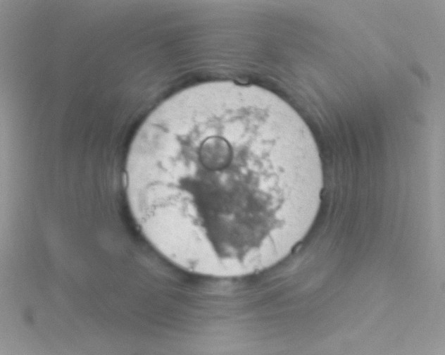 X0000115030131200911231120