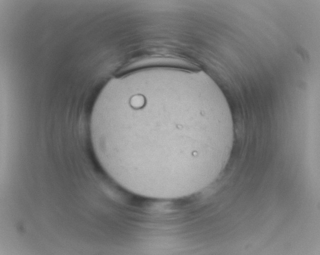 X0000115030132200911231120